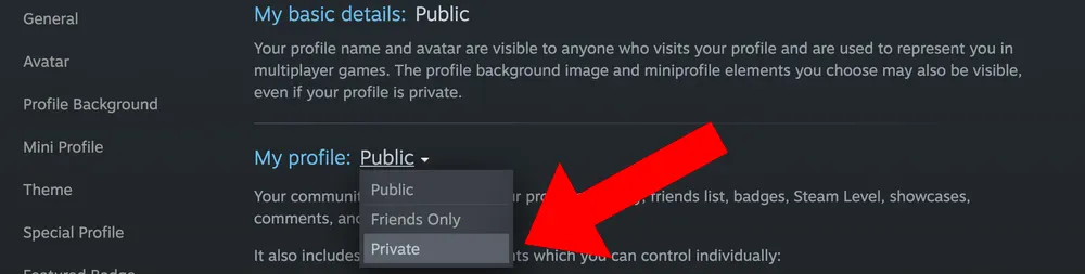 Make profile private in Steam