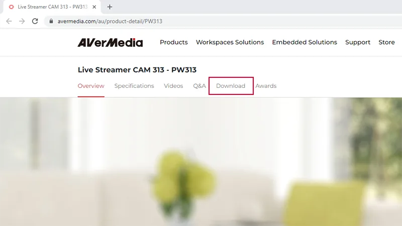 AVerMedia Live Streamer Cam 313 Review