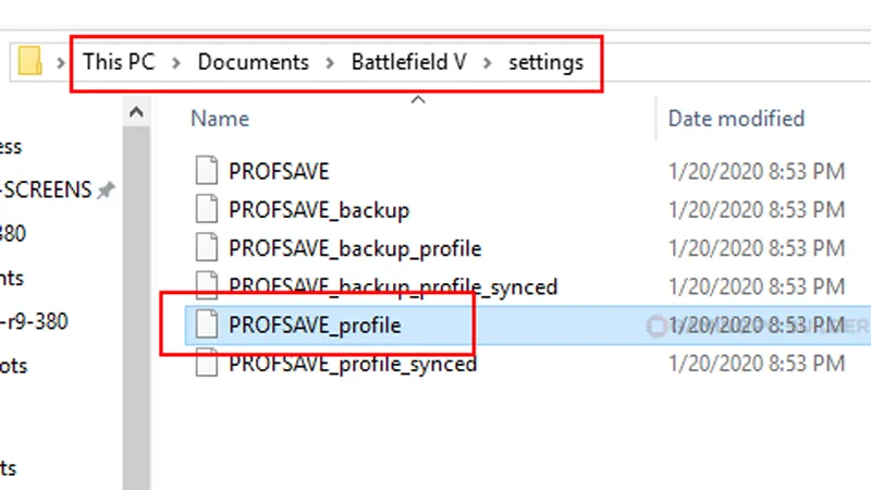 Battlefield V config file