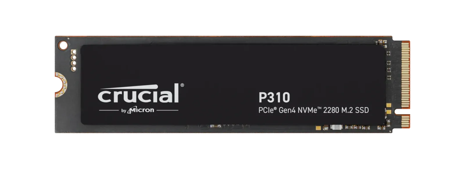 crucial p310