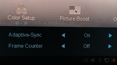 Monitor Settings Adaptive Sync